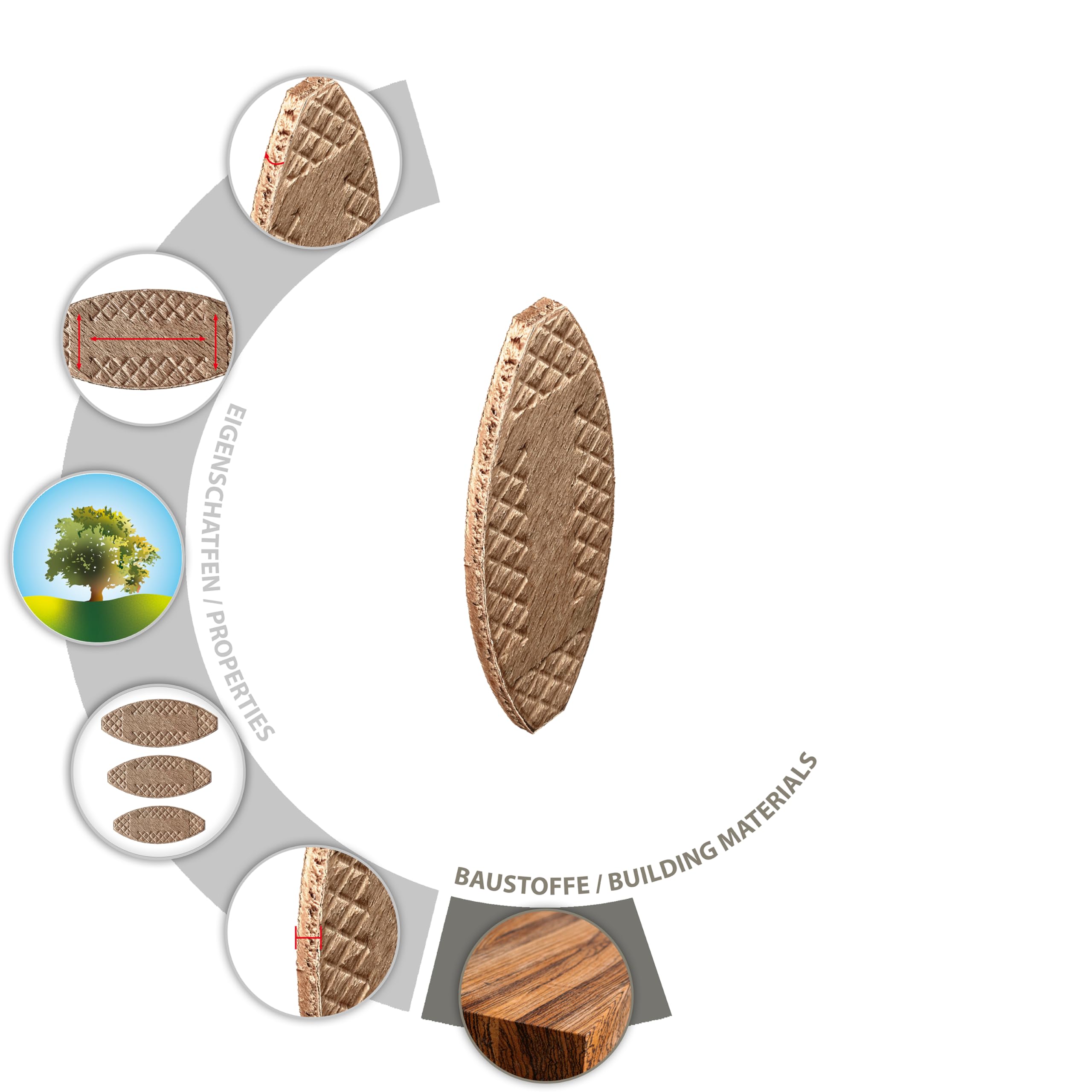 tox-biscuit-wood-xl-p10-flachd-bel-buche-250-st-ck image 3